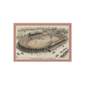 Vintage Kezar Stadium Football Outdoor Rug | San Francisco